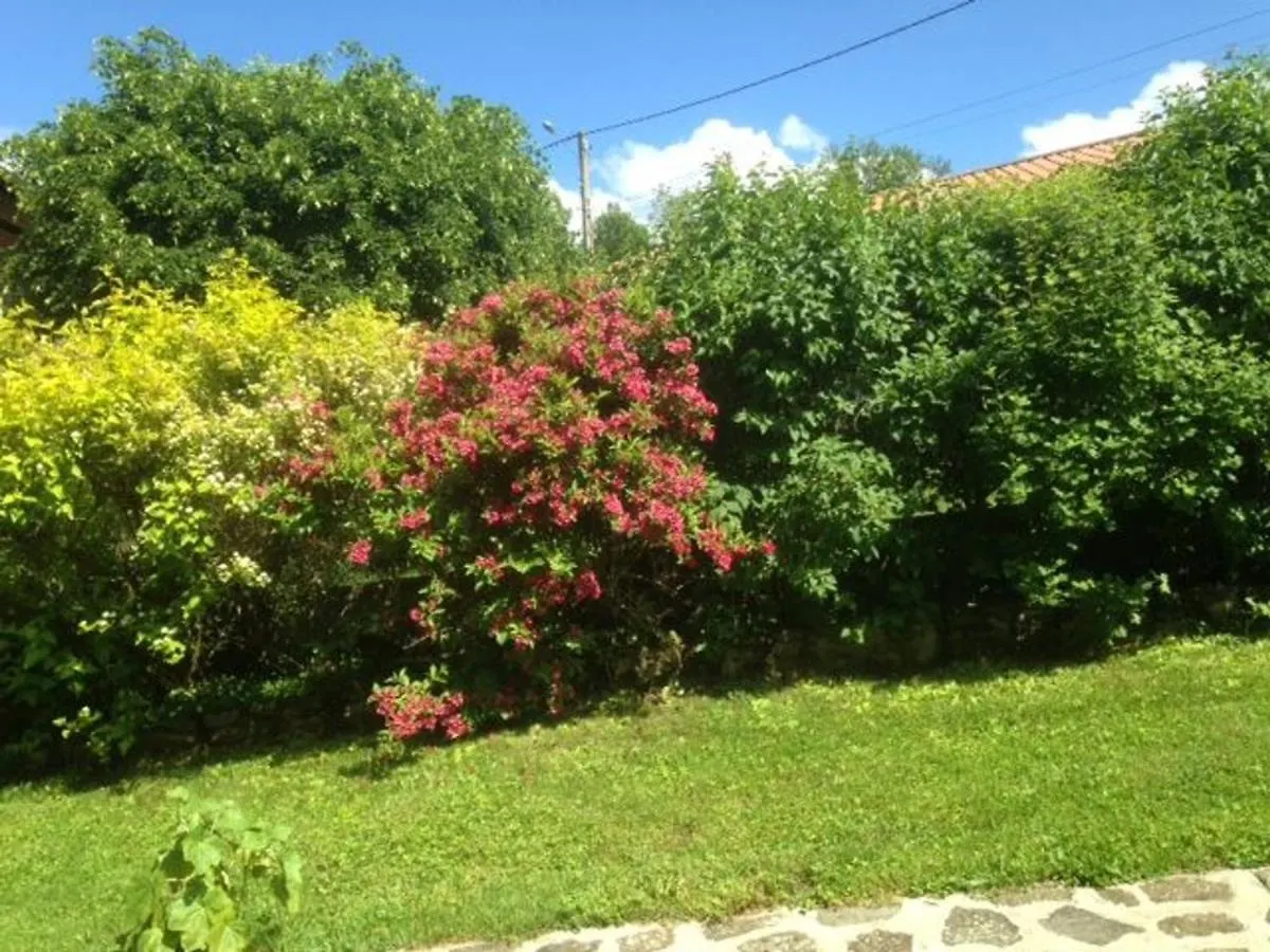 Ferme Restauree Avec Jardin Clos Et Terrasse, Proche Puy En Velay - Fr-1-582-271 Le Monastier sur Gazeille Holiday home